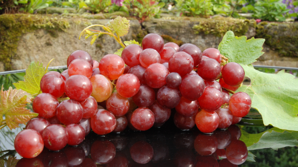 Nho đỏ
