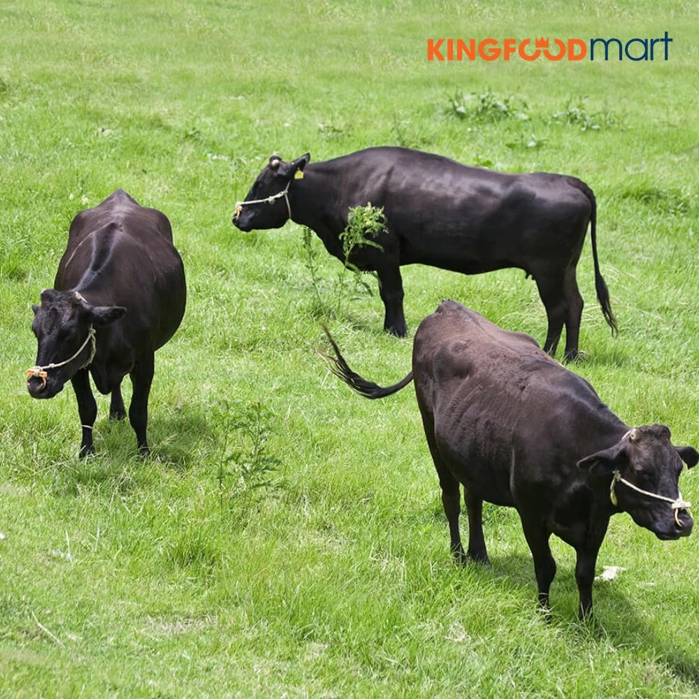 Wagyu là đại diện cho sự tinh tế tuyệt đối. "Wa" trong tiếng Nhật nghĩa là phong cách Nhật, "Gyu" nghĩa là bò.

Điểm tạo nên giá trị kinh tế khổng lồ của Wagyu chính là khả năng tích trữ chất béo nội cơ (Intramuscular Fat).