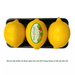 Chanh vàng Ai Cập Trường An vỉ 300-350g (1 Vỉ)