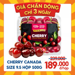Cherry Canada size 9.5 hộp 500G (1 Hộp)