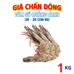 Tôm sú quảng canh 1kg (20-25 con/kg)