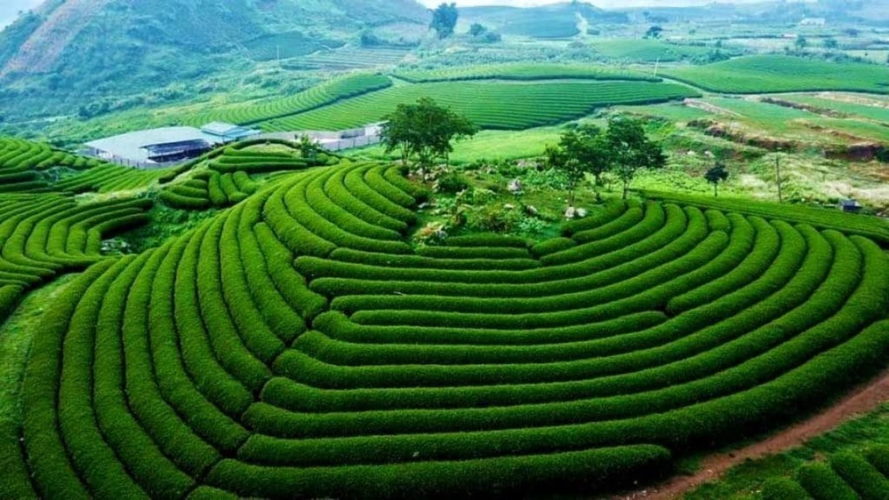 Du lịch Tết âm lịch nên đi đâu?