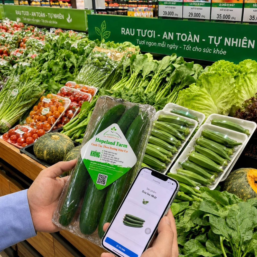 Công ty TNHH Nông Nghiệp Miền Đất Hy Vọng Việt Nam (Hopeland Vietnam Farm): Rau hữu cơ trong nhóm Tick Xanh Kingfoodmart
