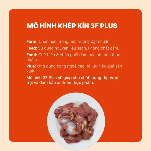Lòng gà CP vỉ 250g