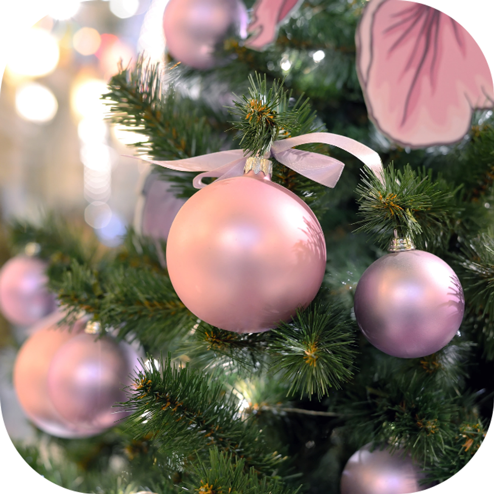 Giáng sinh năm nay Kingfoodmart