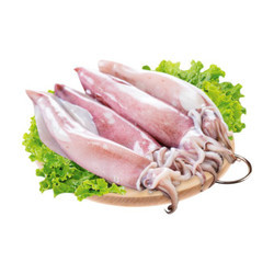 Mực ống nguyên con size 14-20 con/kg 250g (1 vỉ)
