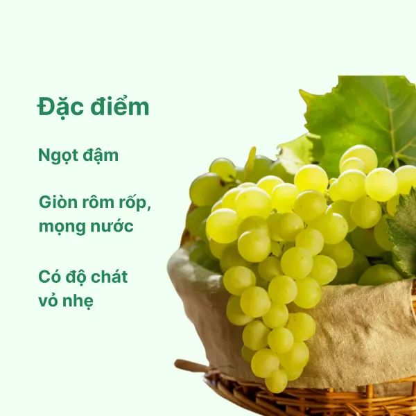 Nho xanh Mỹ không hạt hộp 150g