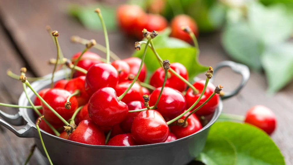Mùa thu hoạch cherry Mỹ Kingfoodmart