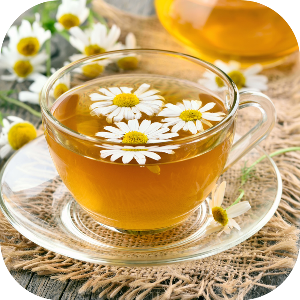 Trà hoa cúc Kingfoodmart
