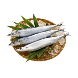 Cá thu đao 300g (1 vỉ)