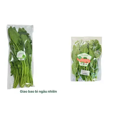 Combo Cải bó xôi Đà Lạt gói 300g + Mồng tơi baby Dalat Gap gói 300g