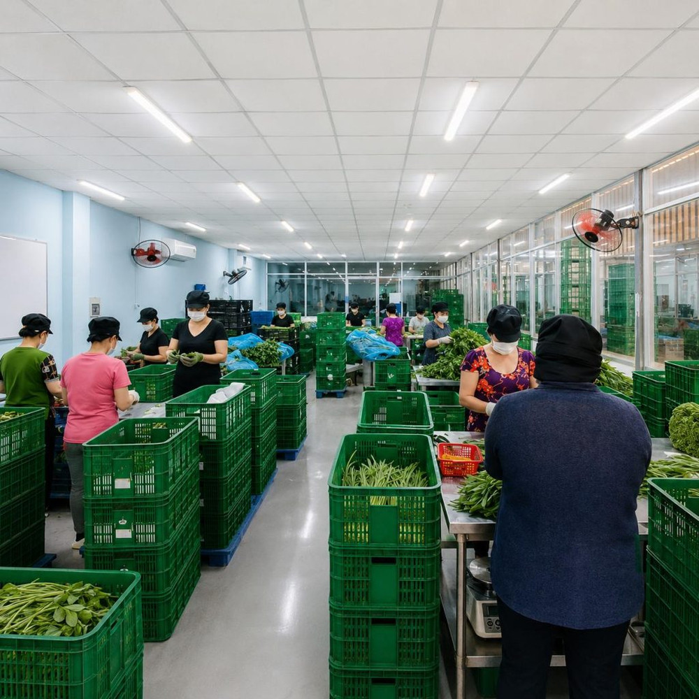 Công ty TNHH Rau Củ Quả Trường Phát: Rau củ quả sạch trong nhóm Tick Xanh Kingfoodmart
