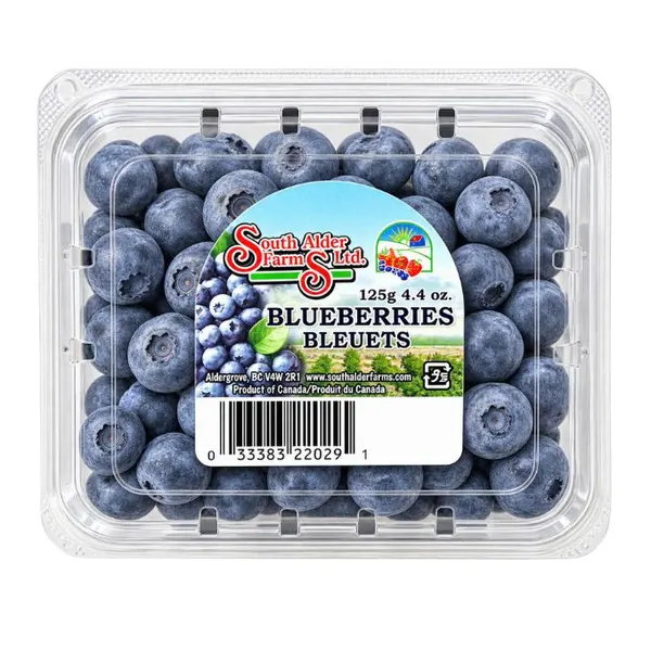 Blueberry Canada hộp 125g