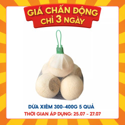 Combo dừa xiêm xanh 5 quả size 300-400g (1 Combo)
