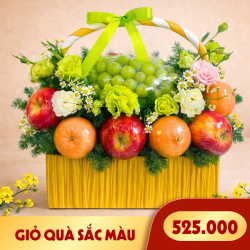 Giỏ quà trái cây Sắc Màu (1 Giỏ)