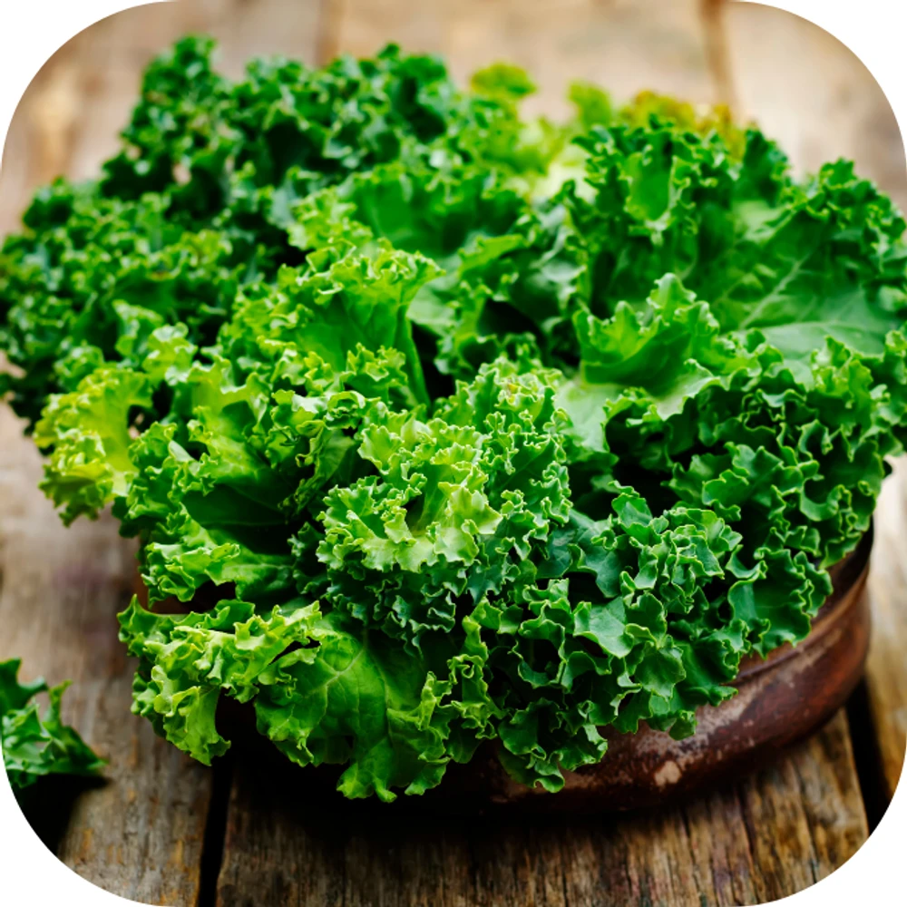 cải xoăn kale