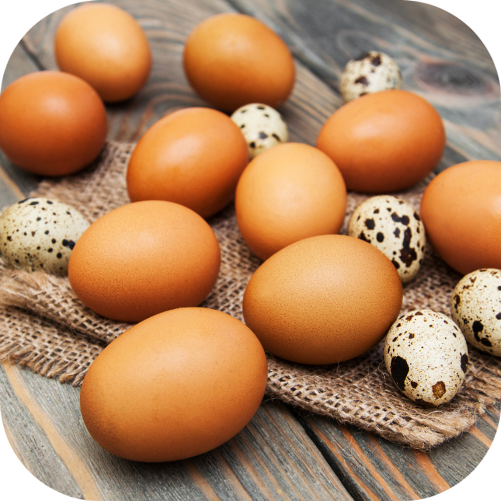 Trứng Kingfoodmart