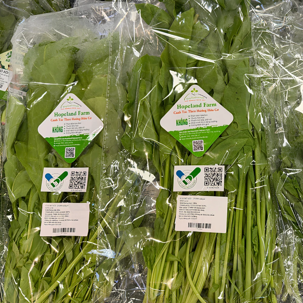 Cách đọc logo Tick Xanh trên bao bì sản phẩm tại Kingfoodmart (Nguồn: Internet)