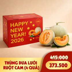 Thùng 4 quả dưa lưới vỏ xanh ruột cam 6.5KG - 7KG (1 Thùng)