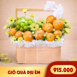 Giỏ quà trái cây Dịu Êm (1 Giỏ)