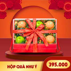 Hộp quà trái cây Như Ý (1 Hộp)