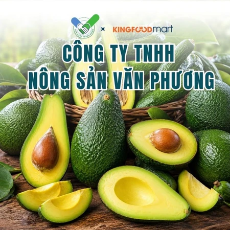 Nông Sản Văn Phương Tick Xanh và hành trình kết nối nông dân vùng bơ Lâm Đồng