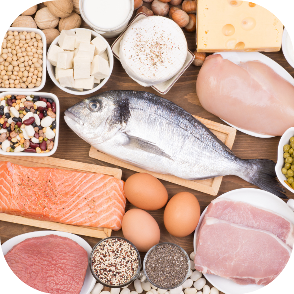 thực phẩm giàu portein Kingfoodmart