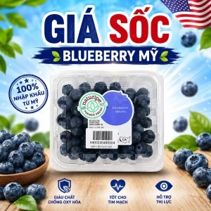Blueberry Mỹ hộp 125g