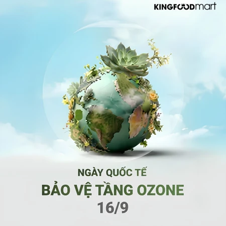 16/9 là ngày gì? Ý nghĩa Ngày Quốc tế Bảo vệ Tầng Ozone