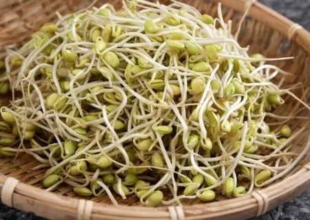 Cách trồng giá đỗ chỉ trong 2 ngày mà không cần tưới nước