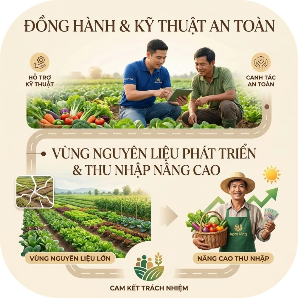 Agro-King-7