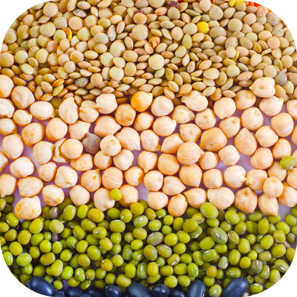 Các loại đậu Kingfoodmart