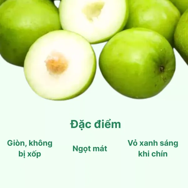 Táo xanh Ninh Thuận hộp 1kg