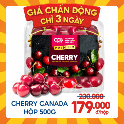 Cherry Canada size 9.5 hộp 500G (1 Hộp)