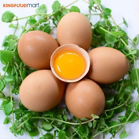 Giá trứng gà hôm nay bao nhiêu 1 chục? Cập nhật mới nhất 2026