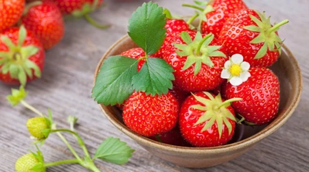 Dâu King’s Berry – Nữ hoàng trái cây của Hàn Quốc