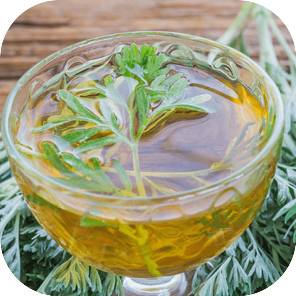 trà bạch quả Kingfoodmart