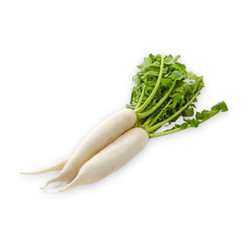  Củ cải trắng Đà Lạt VietGAP PTFARM củ 500g (1 Củ)