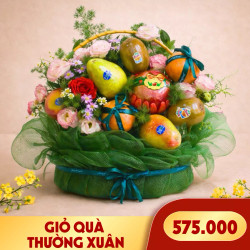 Giỏ quà trái cây Thường Xuân (1 Giỏ)