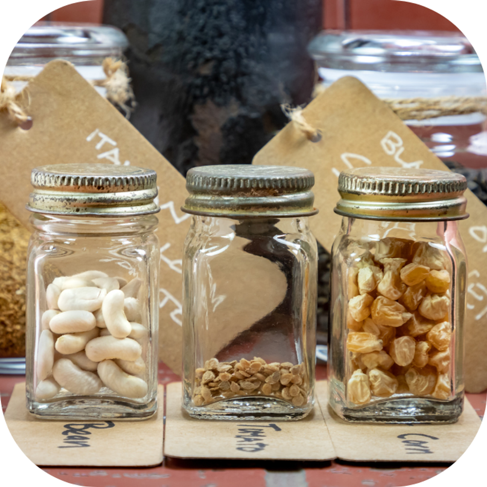 hạt thông Kingfoodmart