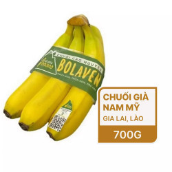 Chuối Bolaven nhánh 700G (1 Gói)