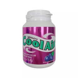 Kẹo Singgum Cool Air hương quả mọng hũ 55.4G