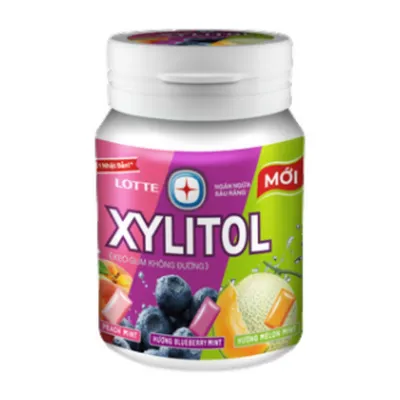 Kẹo Gum không đường hương trái cây hỗn hợp Lotte Xylitol hũ 55.1g