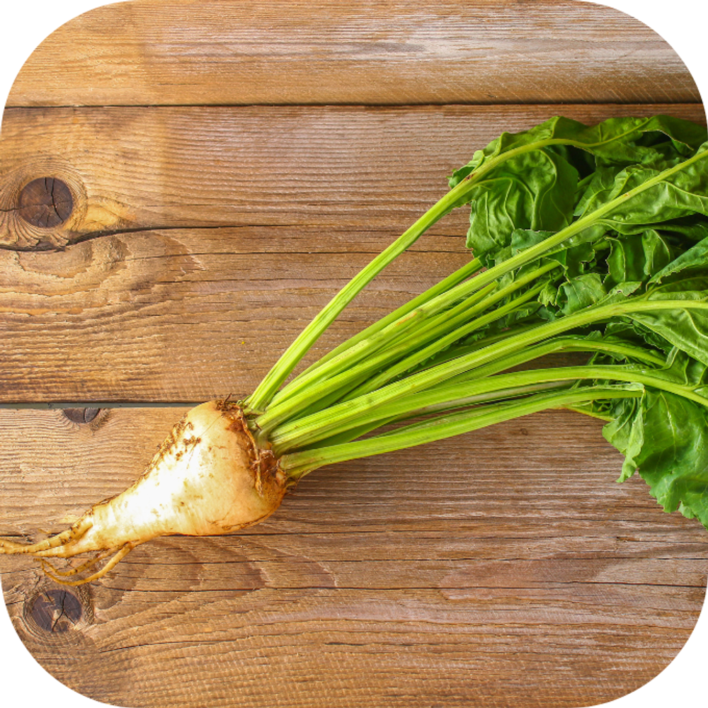 củ cải đường Kingfoodmart