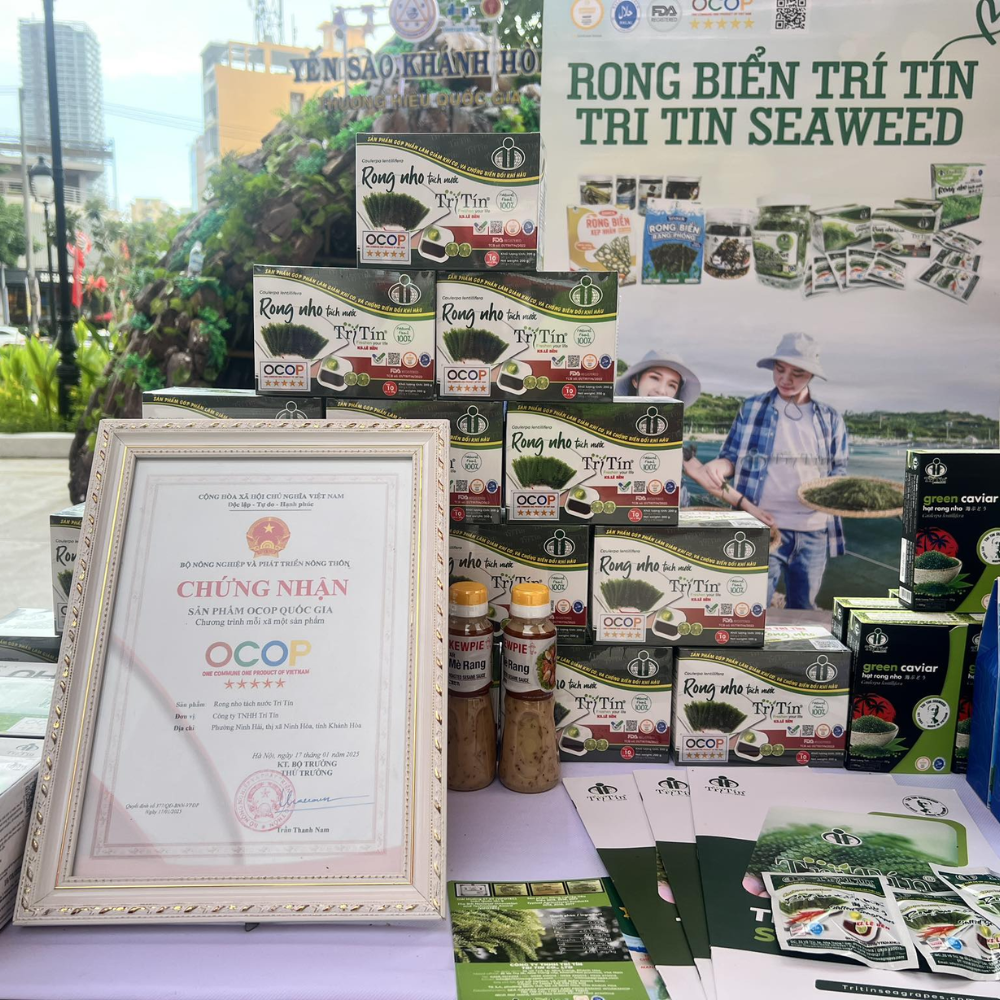 Top các sản phẩm rong nho và rong biển bán chạy nhất tại thương hiệu Trí Tín.