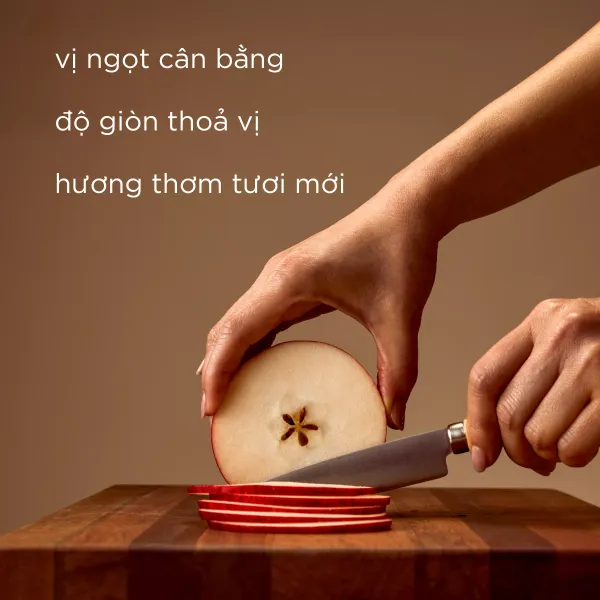 Thùng táo Envy New Zealand 5Kg
