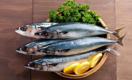 Hướng dẫn mẹo chọn cá thu tươi ngon
