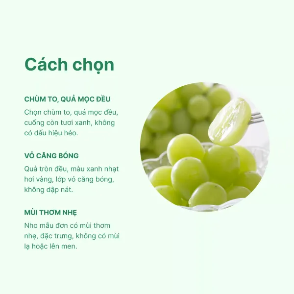 Nho Muscat Hàn Quốc hộp 450g