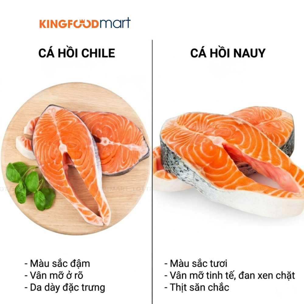 ca-hoi-nauy-voi-chile-3