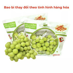 Nho xanh Chile    (1Kg)